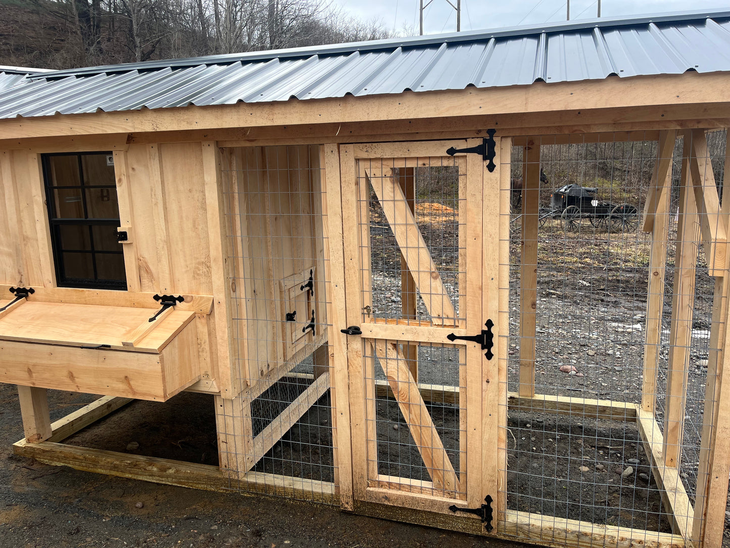 Chicken Coops