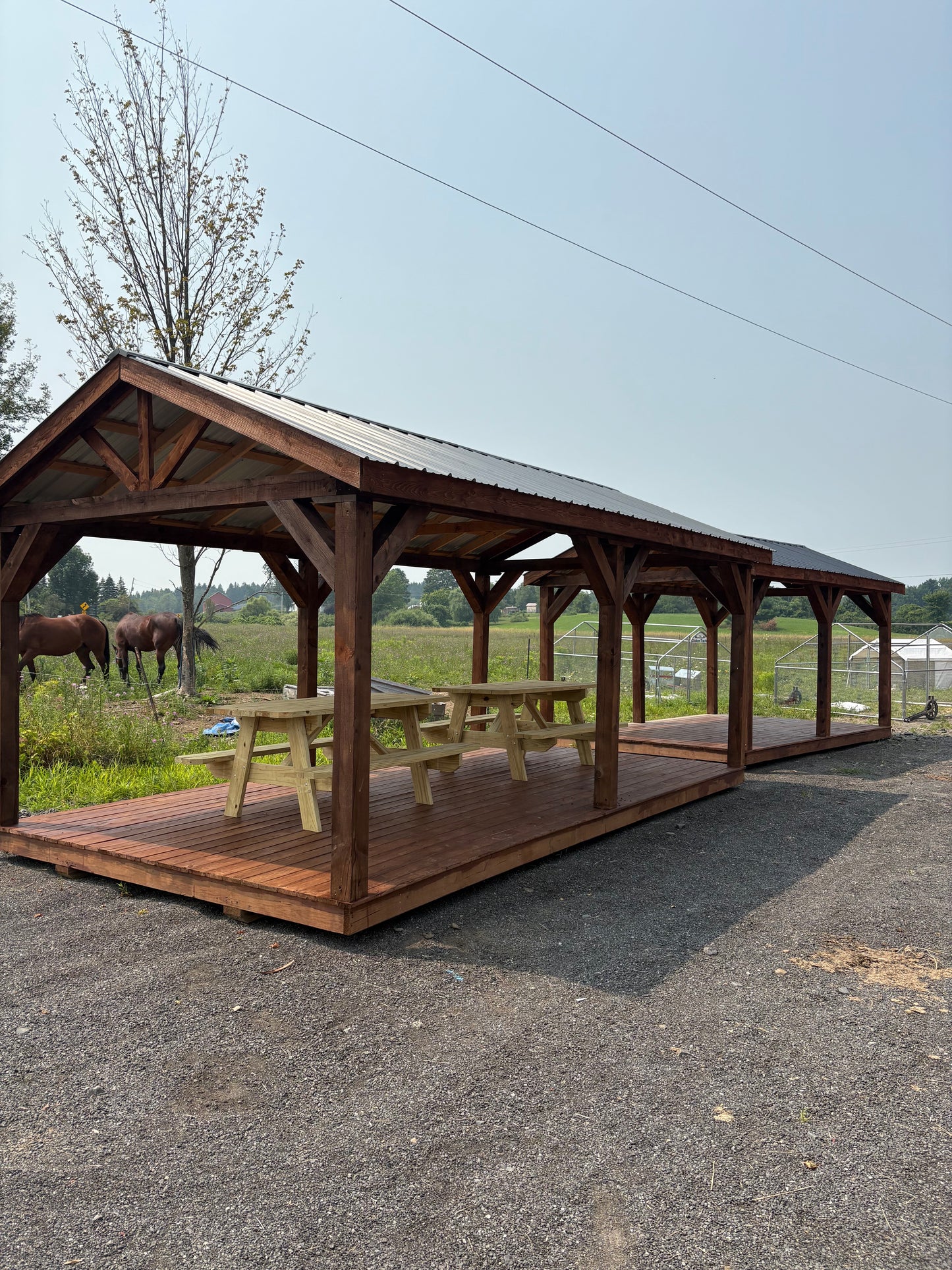 Pavilion/Shed