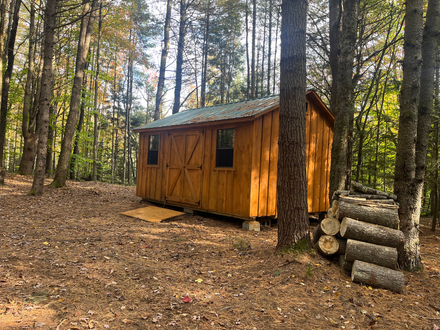 Outdoor Shed Large 10x22-30ft